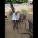 Palmenblätter werden – richtig geflochten – zum Decken von Dächern und als Wandelemente verwendet